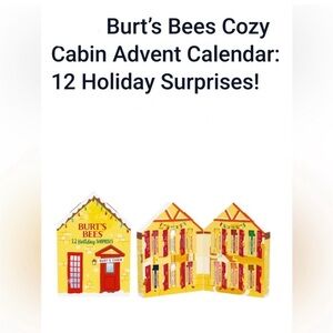 Burt’s Bees Cozy Cabin Holiday Surprises 12 Sticks of Lip Balm Various Flavors